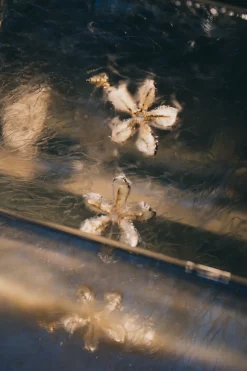 DELLA EARRING - Earrings|Jewelry