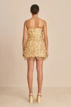 Discount OAKLEY DRESS - Dresses